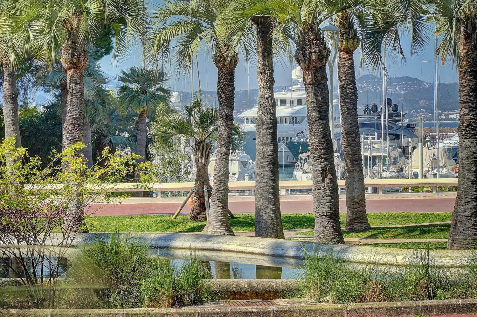 Le Palm - 100M Plage - Croisette - Verriere Cote D'Azur Cannes Buitenkant foto