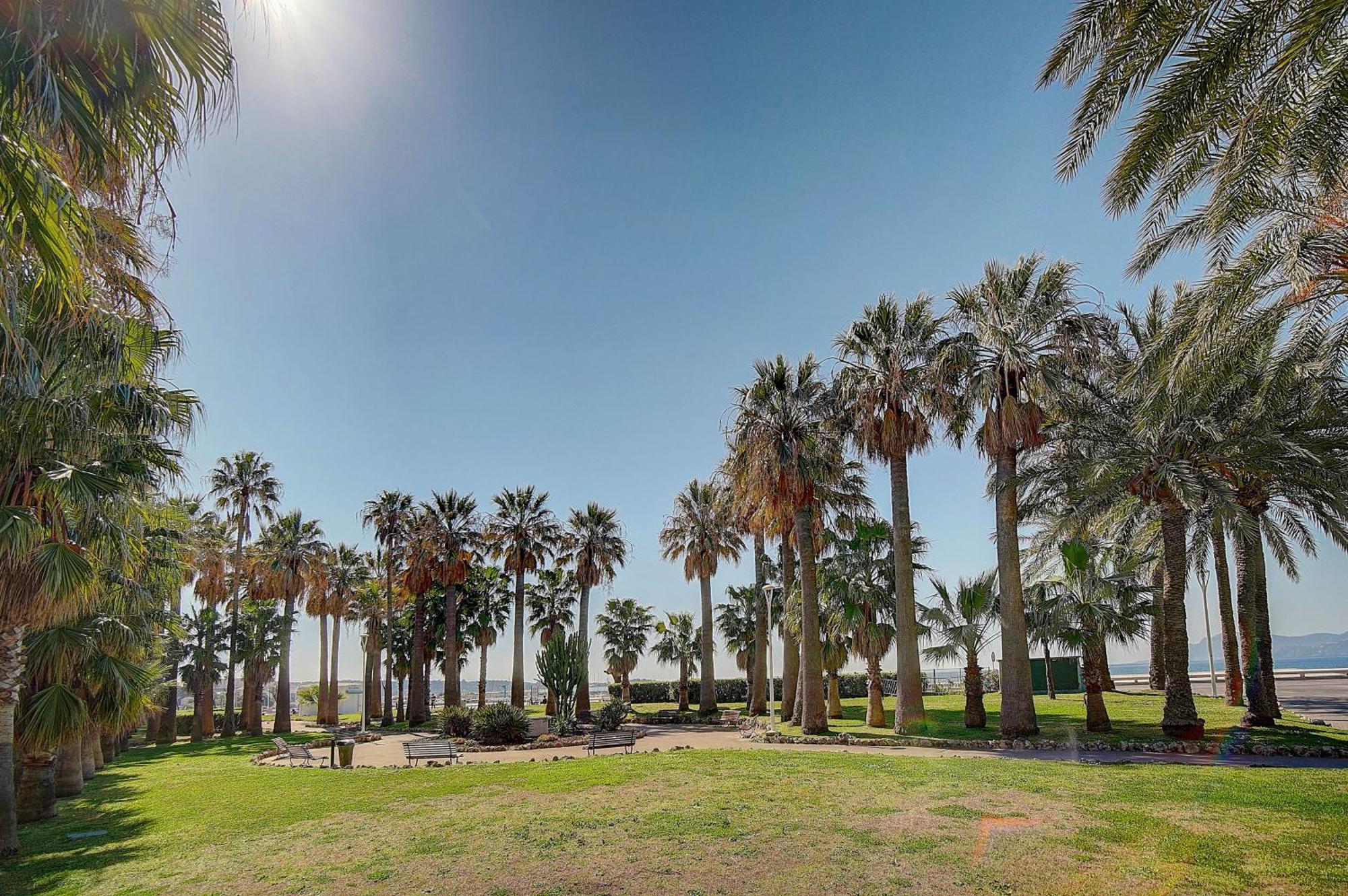 Le Palm - 100M Plage - Croisette - Verriere Cote D'Azur Cannes Buitenkant foto