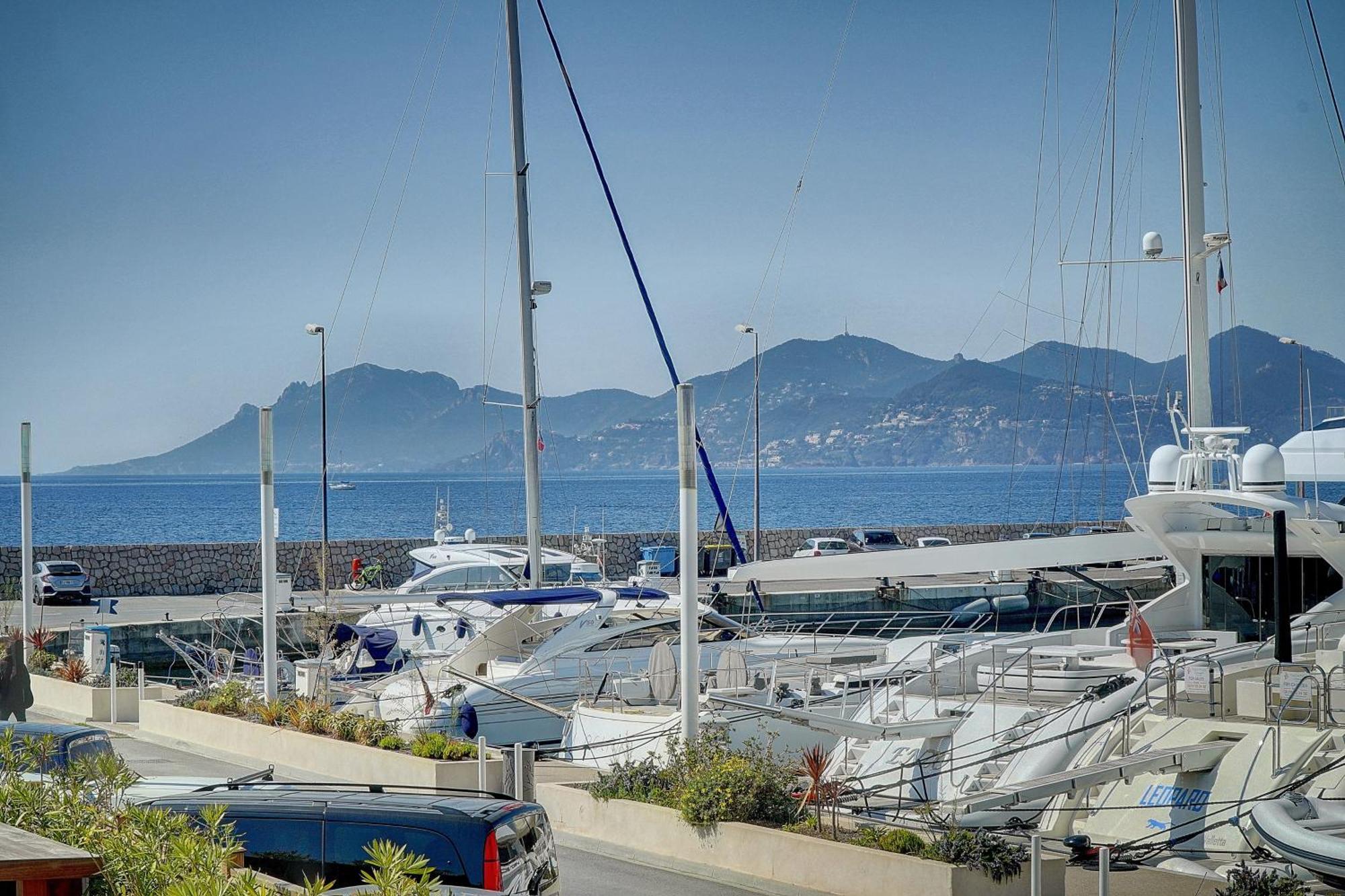Le Palm - 100M Plage - Croisette - Verriere Cote D'Azur Cannes Buitenkant foto